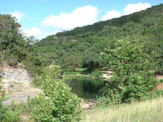 Pond Trail