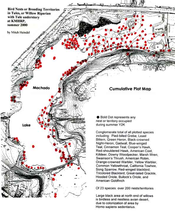 Bird Nest Map